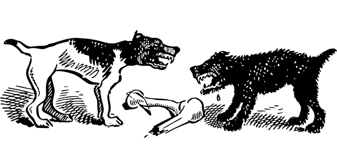Dogs PNG