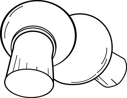 Mushrooms PNG