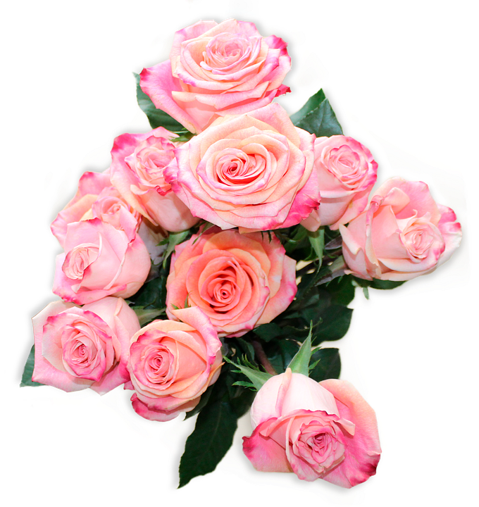 A Bouquet Of Pink Roses