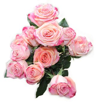 A Bouquet Of Pink Roses